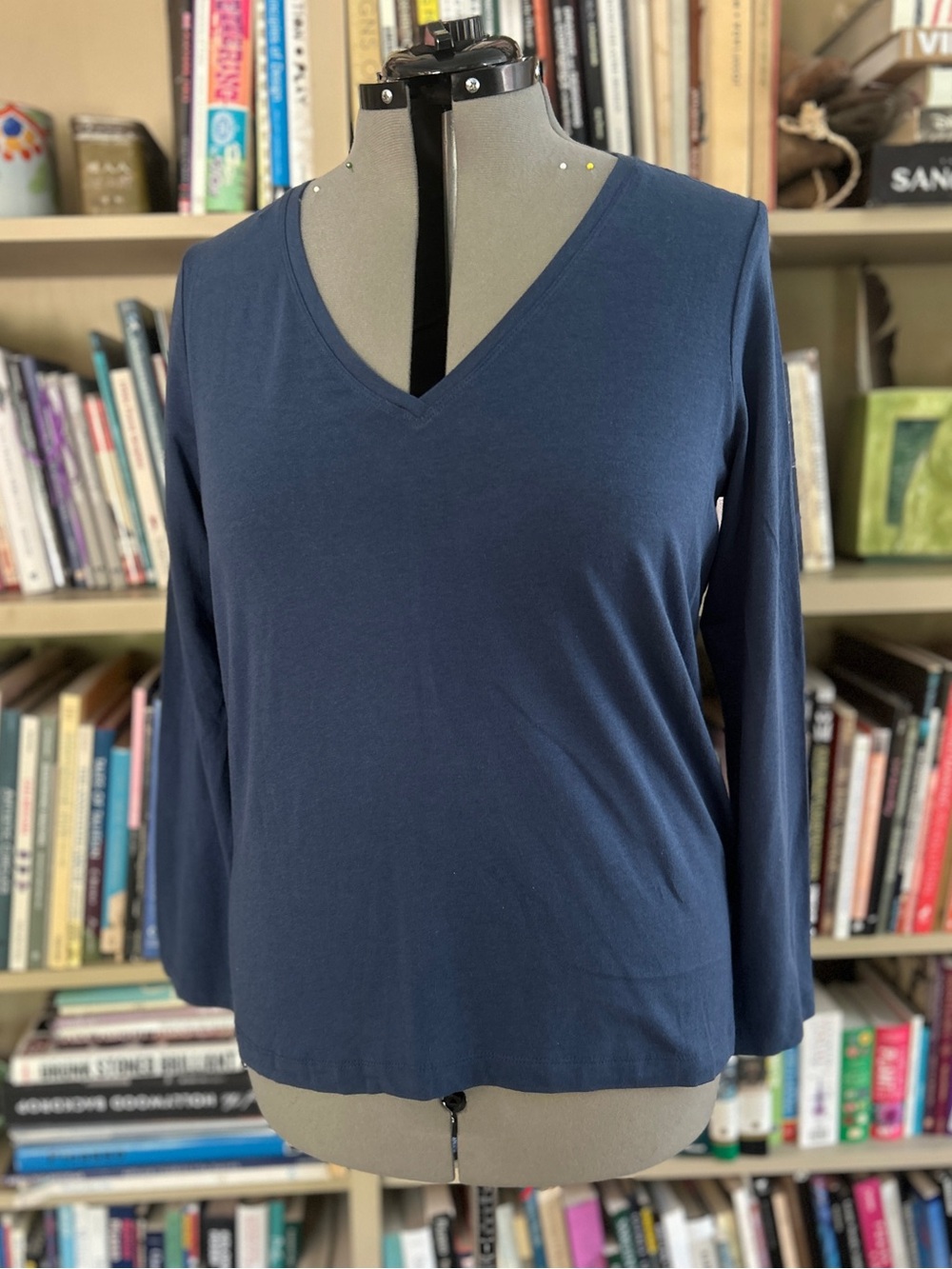 Banana Republic Blue Long Sleeve Tee
